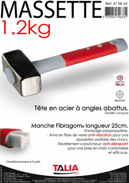 Fiche technique 81