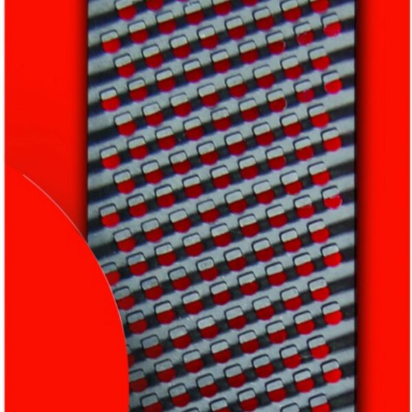 Lame de rechange pour rabot métallique 250 x 42MM
